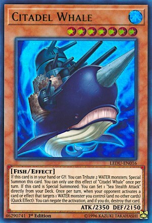 Citadel Whale Card Front