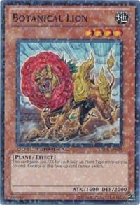 Botanical Lion Card Front