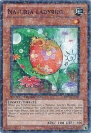 Naturia Ladybug · Common 030