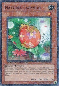 Naturia Ladybug Card Front