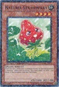 Naturia Strawberry Card Front