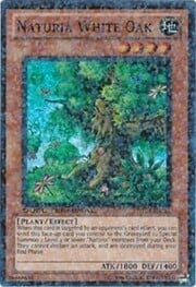 Naturia White Oak · Super Rare 081