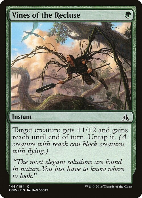 Vines of the Recluse Card Front