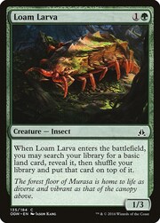 Loam Larva 135