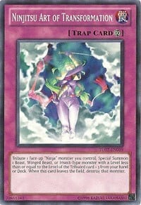 Arte della Trasformazione Ninjitsu Card Front