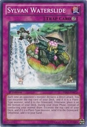 Sylvan Waterslide · Common 073