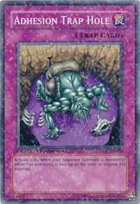 Adhesion Trap Hole Card Front