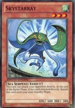 Skystarray Card Front