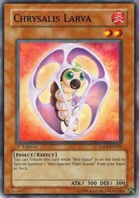 Chrysalis Larva Card Front