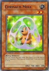 yugioh chrysalis deck Tarot and Book Set The Witches Sage LLC Chrysalis Mole Tactical Evolution |
