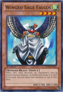Winged Sage Falcos Card Front