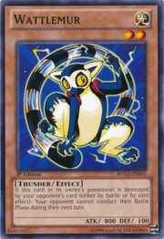 Wattlemur · Common 035
