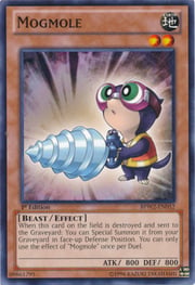 Mogmole · Common 052