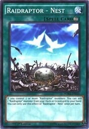 Raidraptor - Nest · Common 026