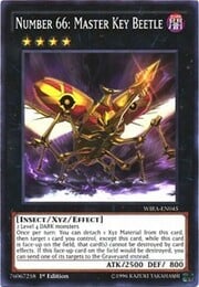 Number 66: Master Key Beetle · Common 045
