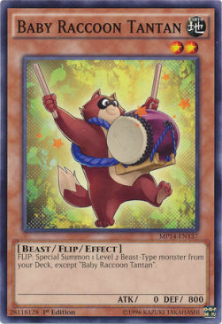 Baby Raccoon Tantan Card Front