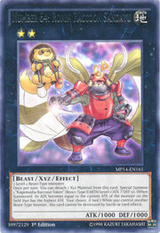 Number 64: Ronin Raccoon Sandayu · Rare 161