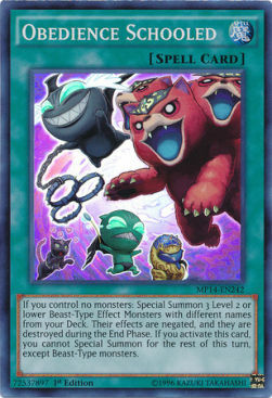 Obbedienza Insegnata Card Front