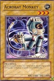Acrobat Monkey · ©1996 003