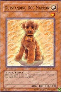 Outstanding Dog Marron Card Front