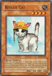 Rescue Cat · Common 033