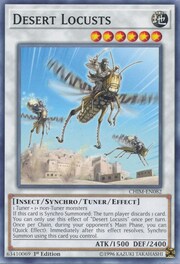 Desert Locusts · Common 082