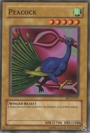Peacock · ©1996 011