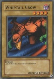 Whiptail Crow · ©1996 027