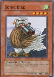 Sonic Bird · ©1996 093