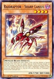 Raidraptor - Sharp Lanius · Common 016