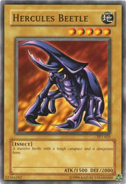 Hercules Beetle · Common 025