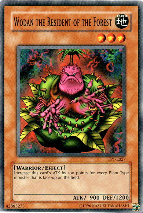 Wodan l' Abitante della Foresta Card Front