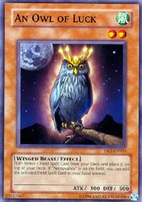 An Owl of Luck Card Front
