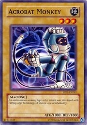 Acrobat Monkey · Common 165