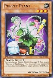 Puppet Plant · Common 022