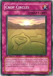 Crop Circles · Common 051