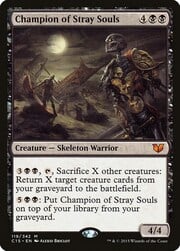 Champion of Stray Souls 119