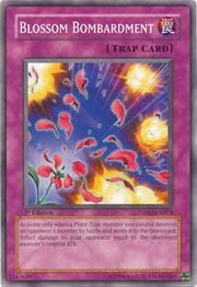 Blossom Bombardment · Common 074