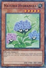 Naturia Hydrangea · Common 072