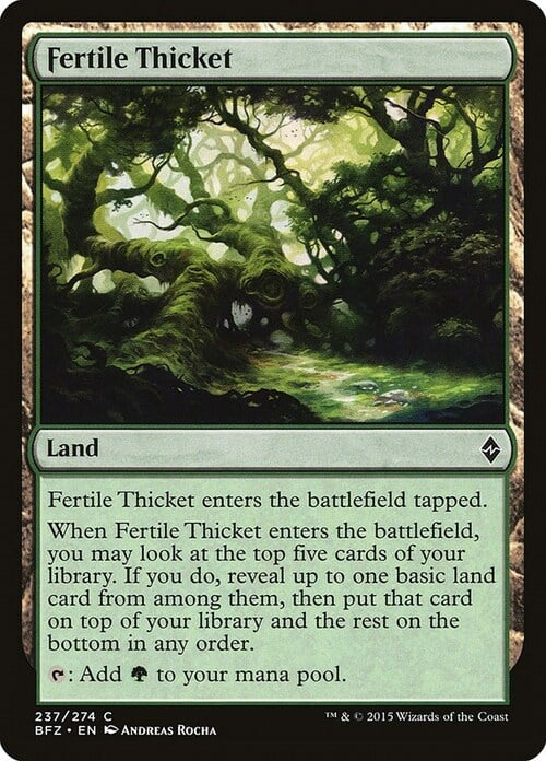 Fertile Thicket Card Front
