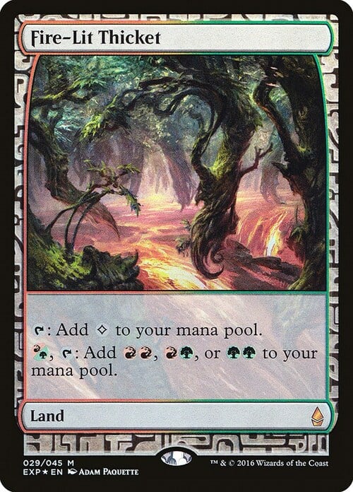 Fire-Lit Thicket Card Front