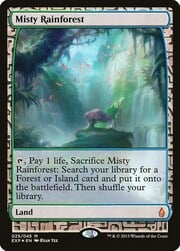 Misty Rainforest 025