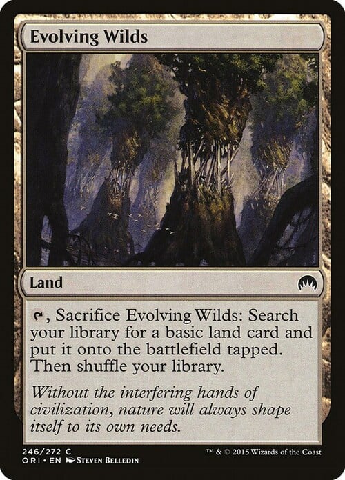 Evolving Wilds Card Front