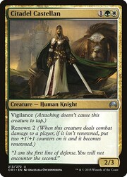Citadel Castellan 213