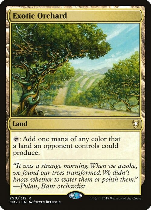 Exotic Orchard Card Front