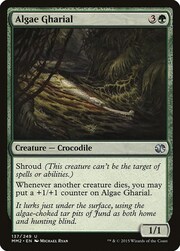 Algae Gharial 137