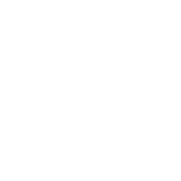 7th City